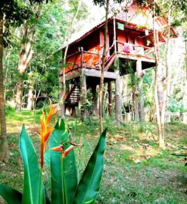 Ko Yao House | Treehouse Holidays-Garden View