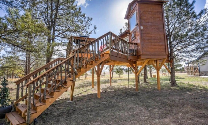Larkspur Cabin | Treehouse Mountain Views Unique Ranch Experience