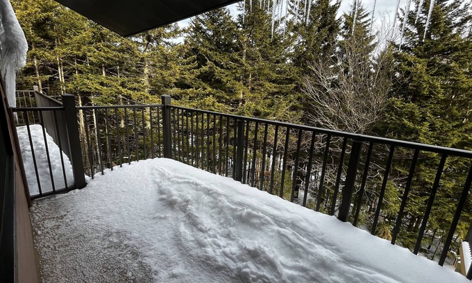 Snowshoe House | Treetop 39 - Snowshoe , Short walk to The Village!