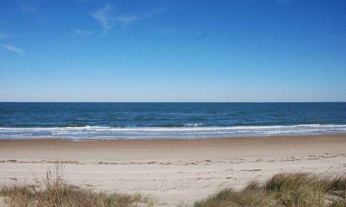 Bayview Cottage | Treetop Rustic Beach Front 2 Bedroom Apartment