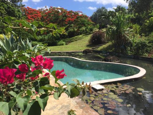 Pointe-Noire Hotel | TropicAngel ECOLODGE de Charme