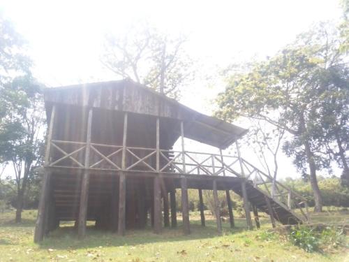 Southern Region Cabin | Trout Farm