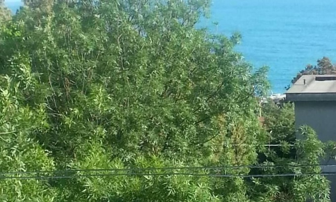 Castiglioncello Apartment | Truly 100 MT. from the SEA and BEACH + stunning SEA VIEW