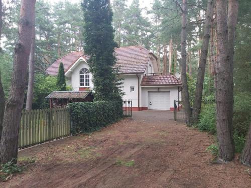 Promnice House | Tuczno Dom w lesie