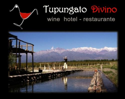 Tupungato Cabin | Tupungato Divino