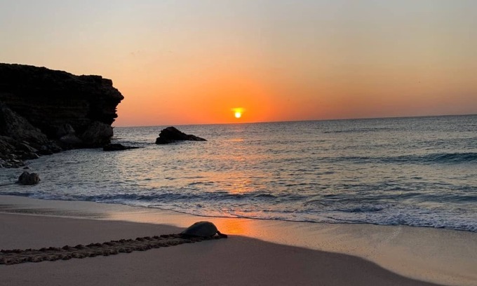 Al Hadd Bed & Breakfast | Turtle Guest House