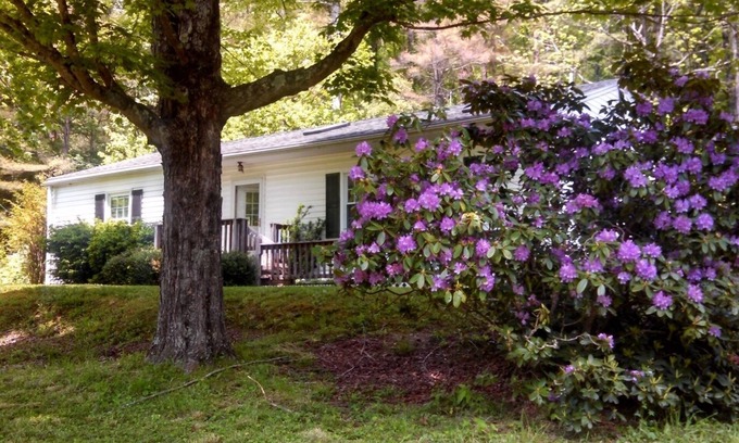 Upperglade House | Tuttle Farm, Riverfront 3 BR Home with Mountain and Forest Views
