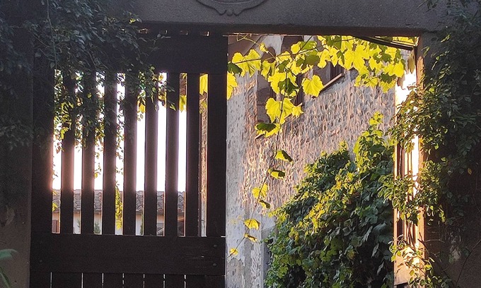 Vicchio House | Typical house in Tuscany country, in the nature, only 40' to Florence