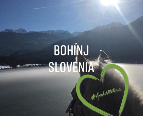 Bohinjska Cesnjica House | Učni ranč, Bohinj