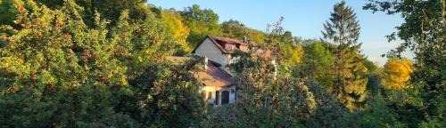 Hlinna House | U Středohoře