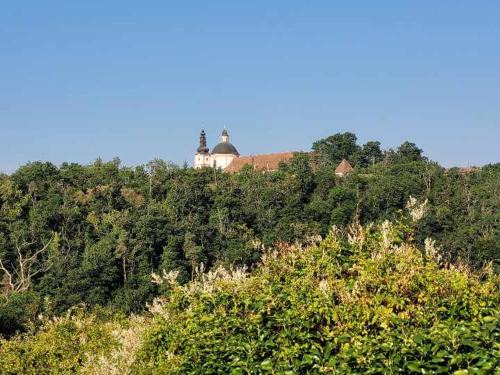 Znojmo House | Ubytování u Gránic