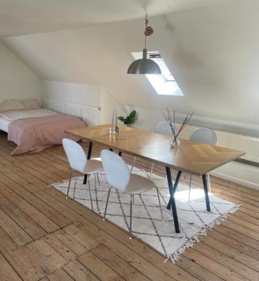 Odense House | Udlejning af to værelser med udsigt til parken beliggende i centrum
