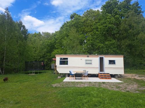 Sarbsk House | Ulinia Wilcza 4 beżowy