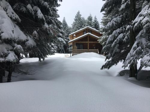 Osmangazi Cabin | Uludag Orman Koskleri