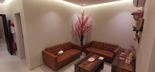 Jeddah Apartment | UNDD Ladies للسيدات