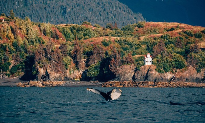 Ismailof Island Cabin | Unique Clifftop Lighthouse with stunning views of Kachemak Bay