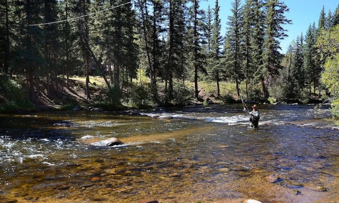 Almont House | Unwind by the River: Cozy Cabins & Endless Adventures in the Rockies