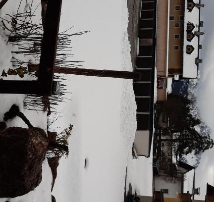 Reutte Apartment | Urisee