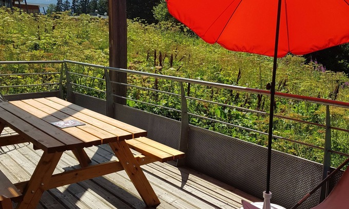 Chamrousse Apartment | V du bachat joubarbes C N°02 - 3P5