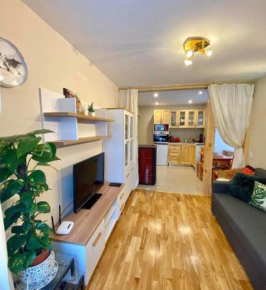 Cesis Apartment | Vaļņu Ielas Apartments