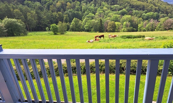 Sonnenwald Apartment | Vacation apartment/apartment for 3 guests with 35m² in Schöfweg (271303)