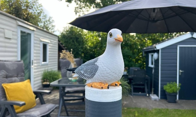 Callantsoog House | Vacation home for 4 guests with 40m² in Callantsoog (265967)
