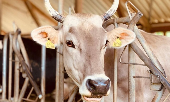 Gebrazhofen House | Vacation in the country, cowbells when you wake up
