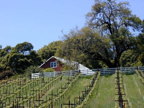 Hopland House | Vacation Rental with Spa and Pool on Winery near Healdsburg, California
