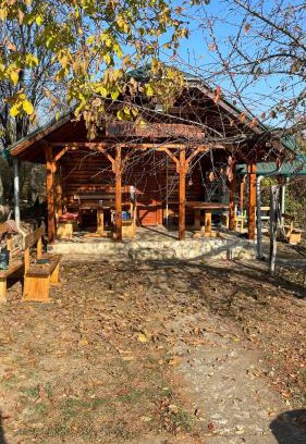Jagodina Cabin | Vasića grozd