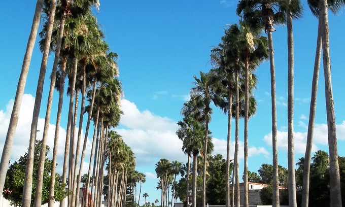 Donna Hotel | Victoria Palms Inn & Suites