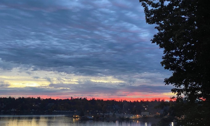 Northwest Olympia Cottage | View of Mt. Rainier - stunning sunrises and moonrises on Puget Sound