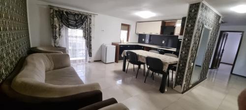 Tirgu Jiu Apartment | VILA DAVISON