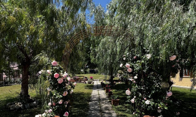 Campo nell'Elba Apartment | Villa Aiali Appartamento Primule