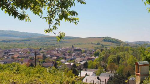 Sasbach am Kaiserstuhl Apartment | Villa Bonita del Kaiserstuhl