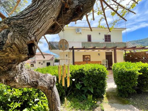 Castellabate Bed & Breakfast | Villa Corocael