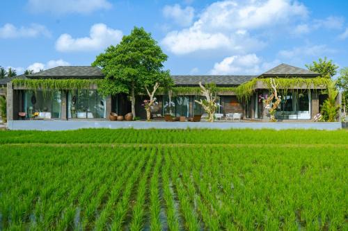 Batuan Hotel | Villa Espresso Ubud