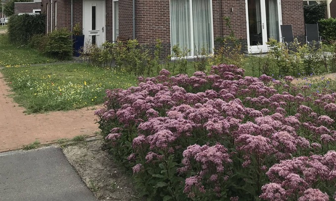 Noordwijkerhout House | Villa in Noordwijkerhout (municipality of Noordwijk), near Sea and Town centers