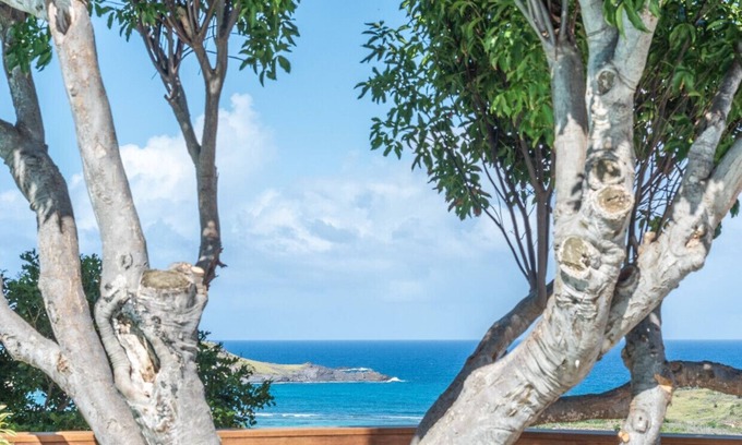 Vitet Villa | Villa Nolen St Barths 4-bd