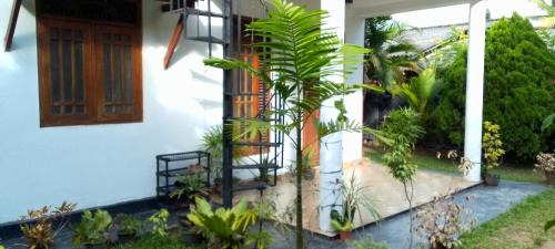 Hikkaduwa Apartment | Villa Tharu Hikkaduwa