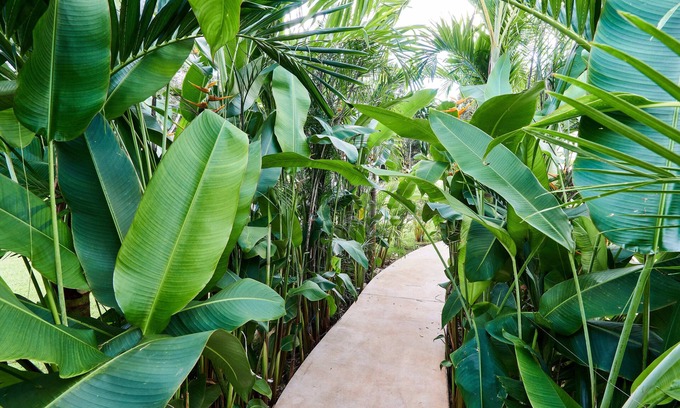 Tulum House | Villa Tortuga lux 4 Bdr Big Gardenpool Cenote