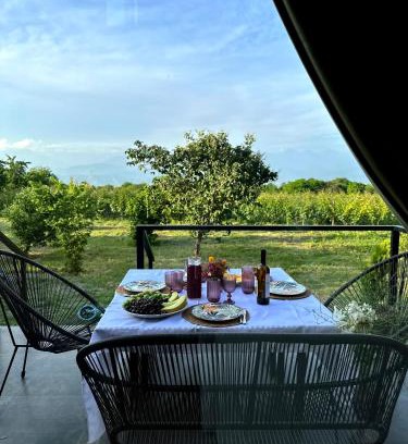 Tsinandali House | Villa Tsinandali