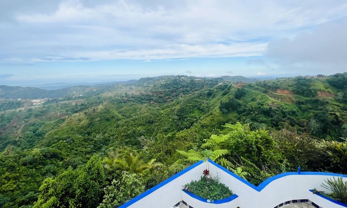 Susua Baja Villa | Villa Verde Luz: A Virgin Forest (Pets Allowed)