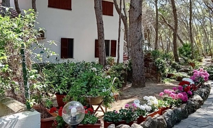 Porto Pino Villa | Villa with direct access to the sea - Porto Pino CIN IT111070C2000S3244