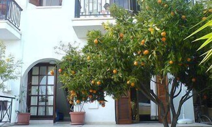 Pissouri Villa | Villa with fantastic views, Free Car and Internet