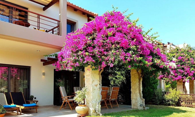 Rio Villa | Villa Xenny (VC Properties)