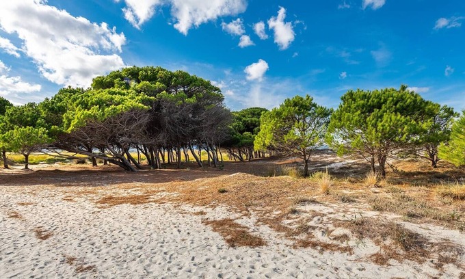 Siniscola Apartment | VILLETTA CARROZZA: quiet and strategic location