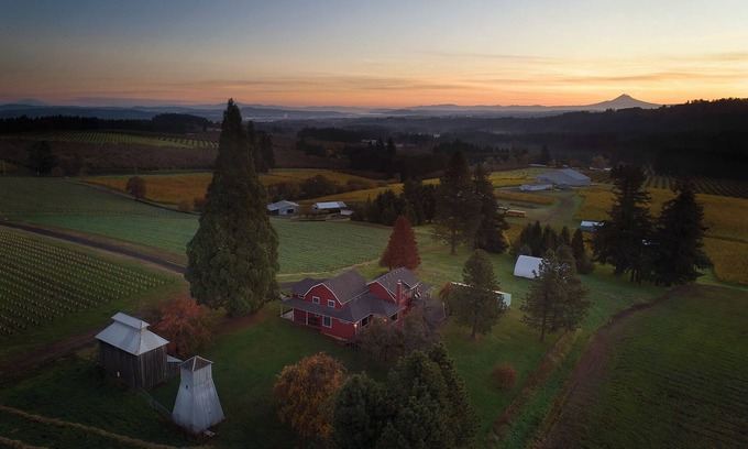 Sherwood Other | Vineyard Farmhouse Stay with Mt. Hood Views. Spacious and Ideal for Large Groups