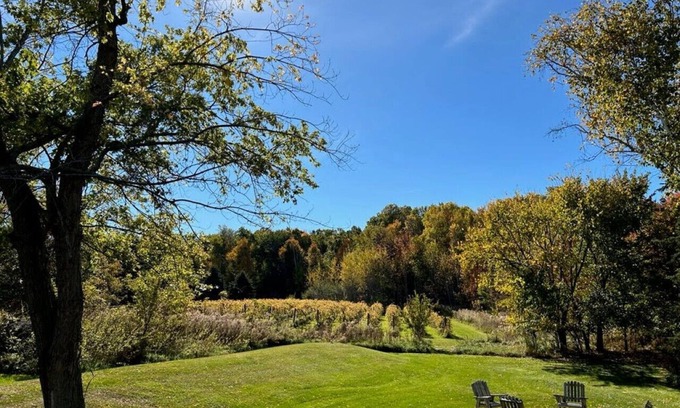 Morrison House | Vineyard View near Winery in Country Side