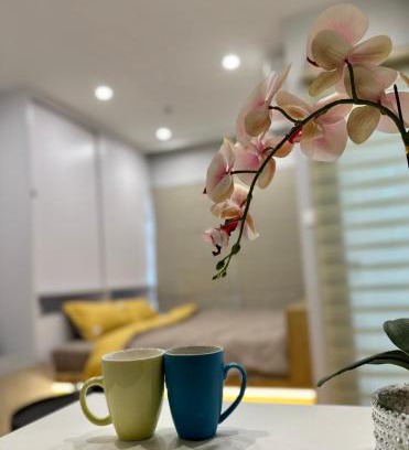 Tu Liem Apartment | Vinhome Smart City Tây Mỗ Nam Từ Liêm Hà Nội