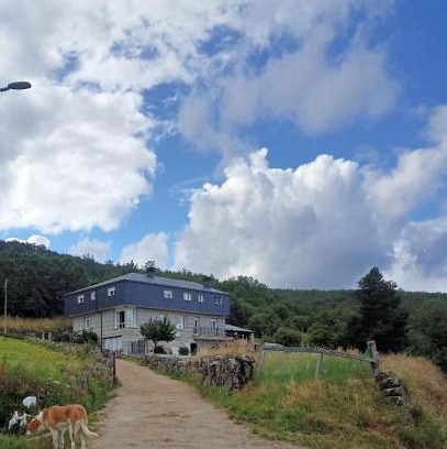 A Veiga House | Vista Estrelada